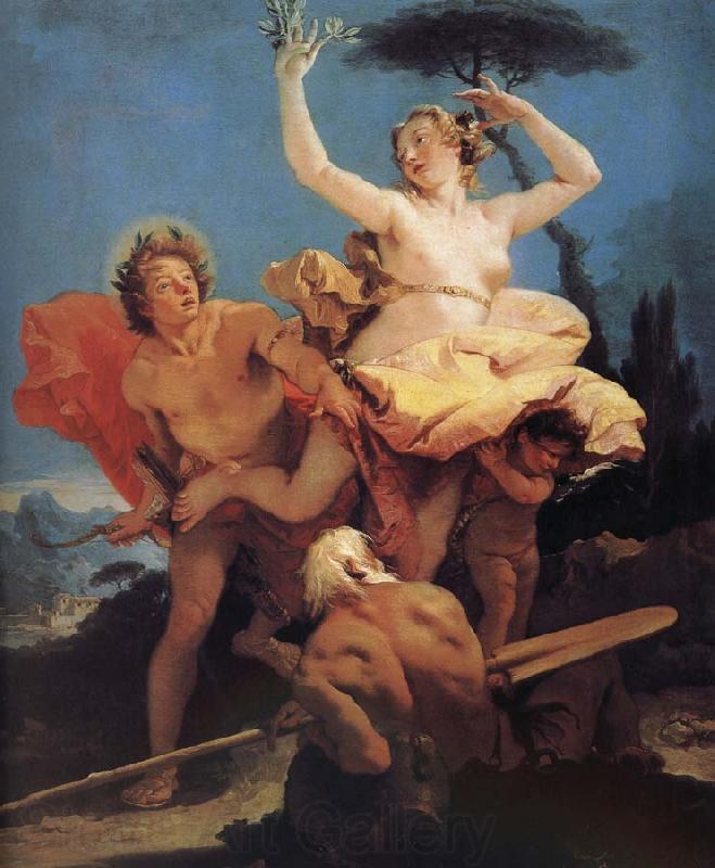 Giovanni Battista Tiepolo Apollo and Daphne Spain oil painting art